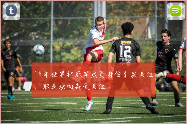 18年世界杯冠军成员身份引发关注,职业动向备受关注