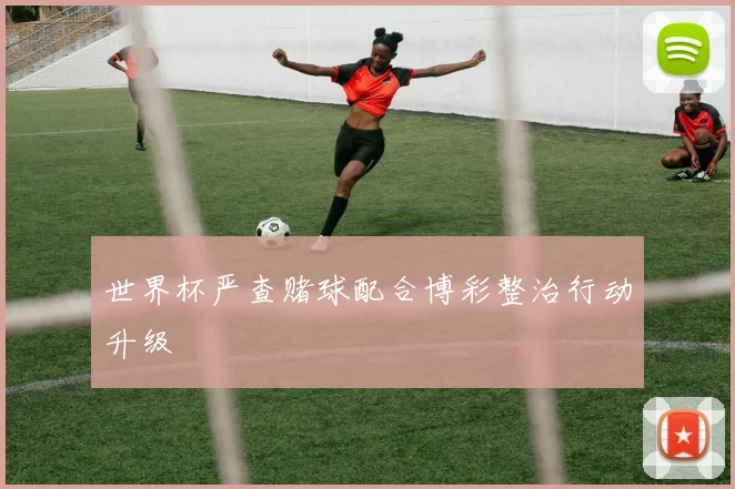 世界杯严查赌球配合博彩整治行动升级